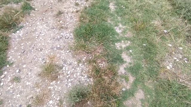 очень красивая входная бетонная лестница смотреть онлайн
