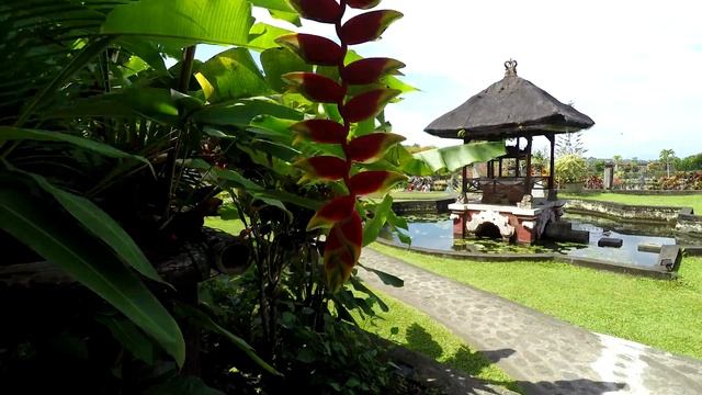 BALI- Epic Walkway At The Water Palace Tirta Gangga - Top Attractions смотреть онлайн