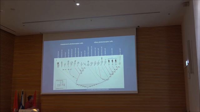 Plasticity and Constancy: Douglas Erwin смотреть онлайн