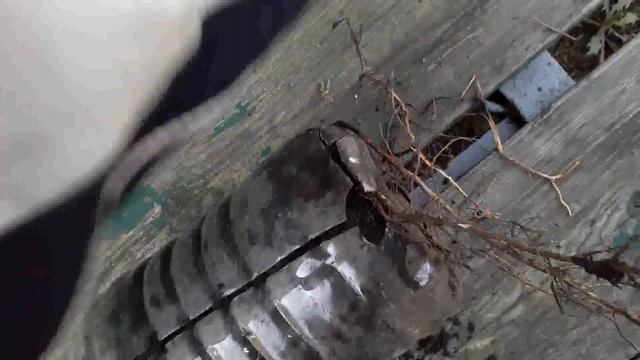 Посадка винограда осенью смотреть онлайн