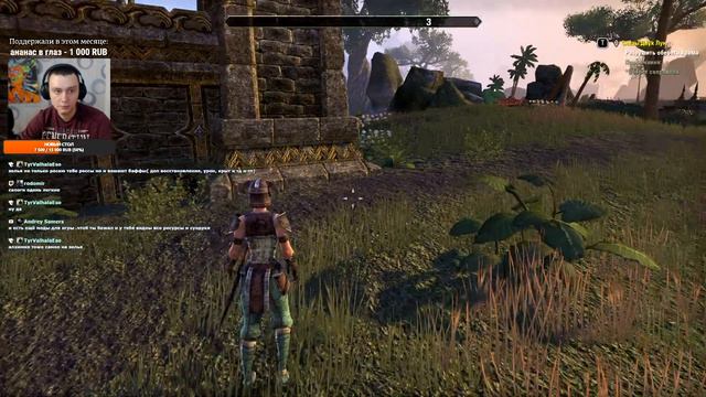 Стрим The Elder Scrolls Online ► Часть 3. Исследуем Гнездо Кенарти смотреть онлайн