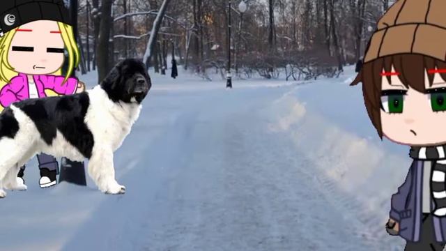 чтчттстс ну... там типо моя ос из гачи редукс?... смотреть онлайн
