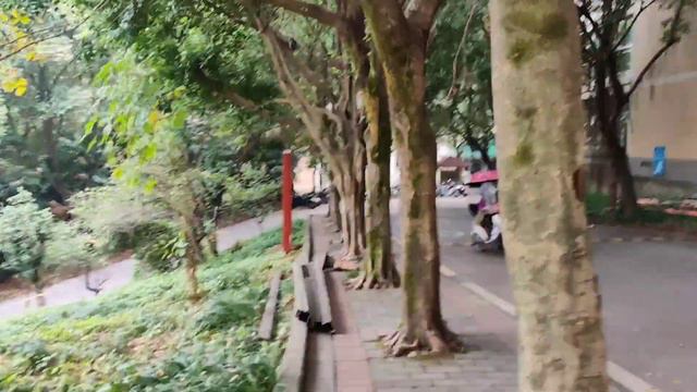 Halal Food in SWU, Chongqing, China. #sairavlogs #sairalife #china #halalfood #southwestuniversity смотреть онлайн