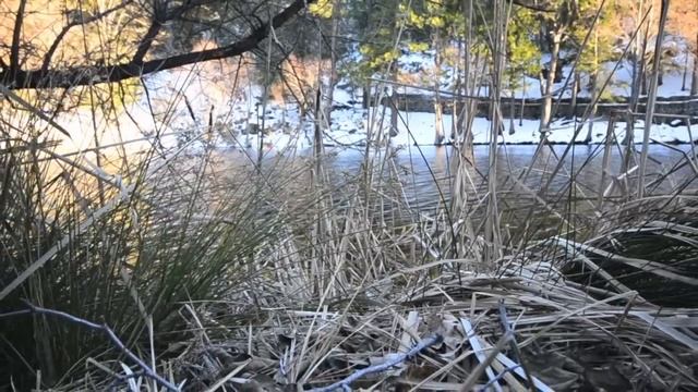 Nikon D3100 Valentine's Day Video смотреть онлайн