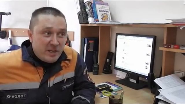 Что делать если на улице собака отвлекается на ВСЕ! смотреть онлайн