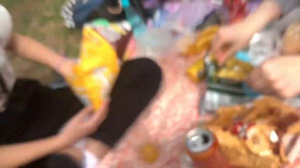 Устроили пикник с друзьями?????