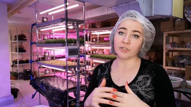 Как правильно выращивать #микрозелень на агровате? Выращиваем на агровате. Подготовка агроваты. смотреть онлайн
