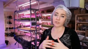 Как правильно выращивать #микрозелень на агровате? Выращиваем на агровате. Подготовка агроваты.