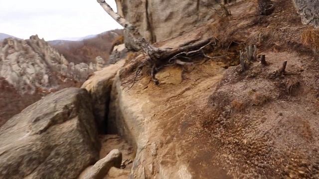 24 октября 2020 г....Чистоводное ...горы Драконов ...Лазовский р-н ...Южное Приморье ... смотреть онлайн