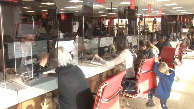 Бесплатная юридическая помощь смотреть онлайн