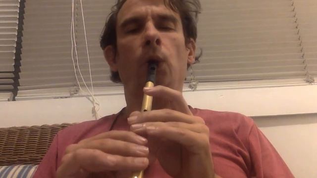 John Ryan's Polka | Tin Whistle смотреть онлайн