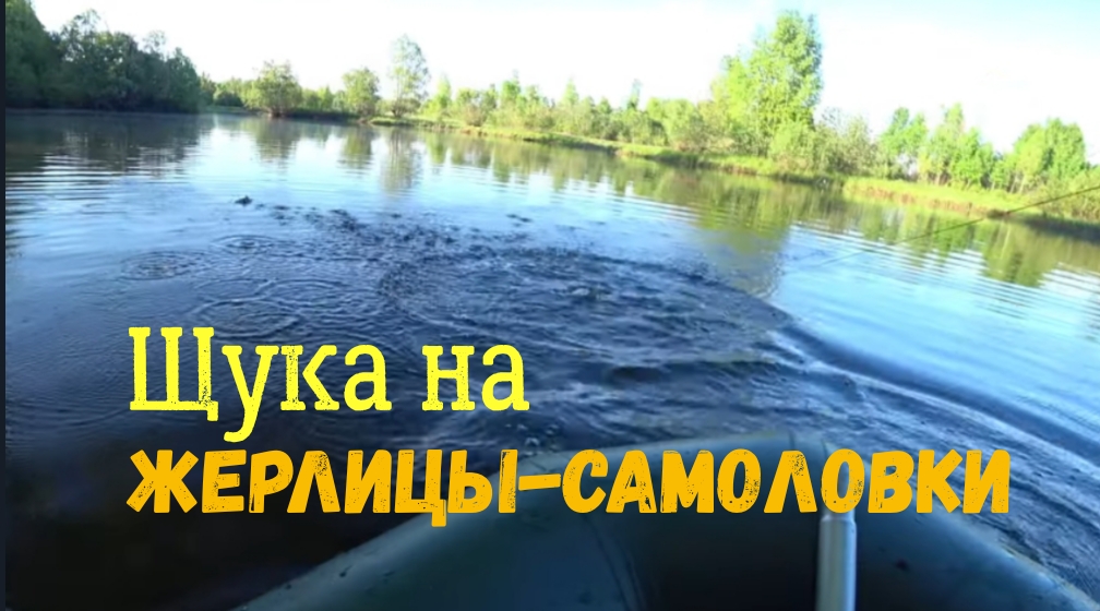 Живец работает всегда! Жерлицы рулят!