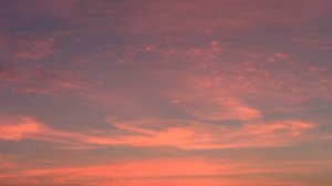 Слова слова песня .