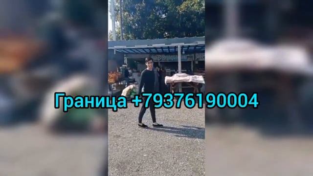 Питер Москва Казахстан граница такси Россия граница Казахстан #россияказахстан смотреть онлайн