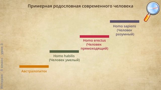 История 5 класс Урок3   Первобытные собиратели и охотники