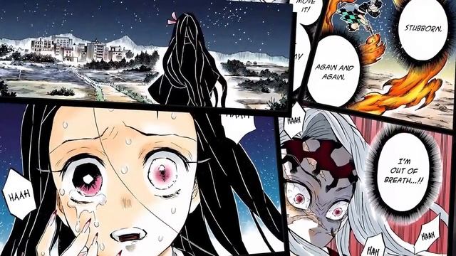 The ENTIRE Demon Slayer Sunrise Countdown Arc Explained... смотреть онлайн
