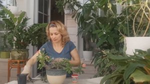 МОЛОЧАЙ МИЛЯ/ СОДЕРЖАНИЕ, ОБРЕЗКА