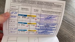 КАКИЕ и КОГДА делать ПРИВИВКИ щенку и взрослой собаке/НОБИВАК/обзор вет паспорта.вакцинация