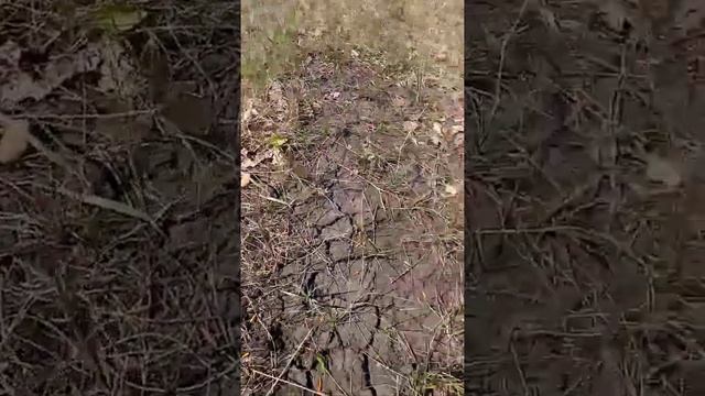 коп монет с мд 4030 смотреть онлайн