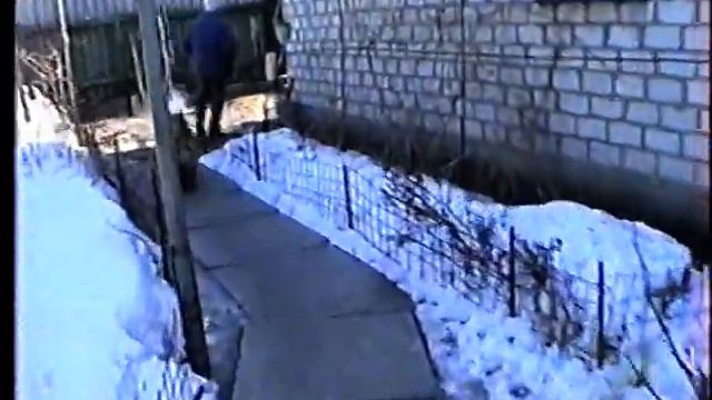 Чау-чау Нэтске и Найк, Краматорск смотреть онлайн