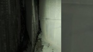 Вода под ковриком Опель вектра Ц , чистка дренажа.