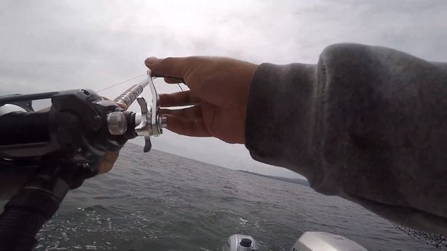 Golden Gate Salmon Fishing | Huge King Salmon Epic Fight - Ocean Salmon Trolling