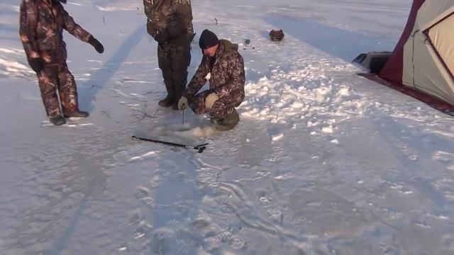 Клёво и без клёва