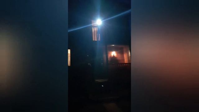 Сказочное пение птиц на даче смотреть онлайн
