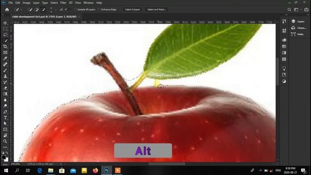 Photoshop Object Selection Tool | Photoshop Basic Part 4 (Sinhala) смотреть онлайн