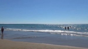 Crystal Sunset Luxury Resort & Spa 5_ . Turkey Side . Пляж .