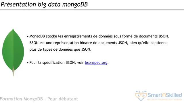 Formation vidéo : Présentation du bigdata et mongodb смотреть онлайн