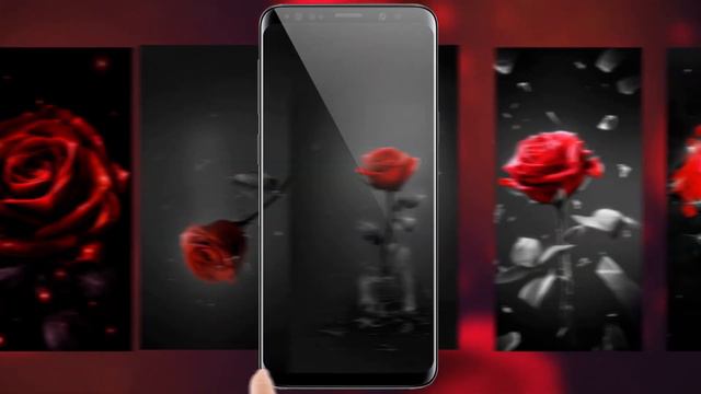 Red Rose Live Wallpapers for android! смотреть онлайн