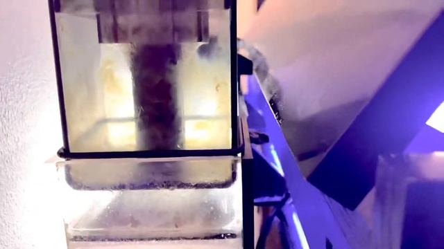 CPR AquaFuge 2 Hang on Back Refugium with Protein Skimmer - Update 3 смотреть онлайн