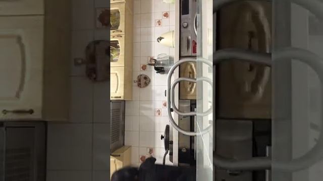 Как сделать какао за 5 минут нествик очень вкусный мой рецепт смотреть онлайн