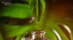 ВОТ ЧТО ТВОРИТ ВАЛЕРЬЯНКА! (Реальная Польза и Вред Валерьяны)