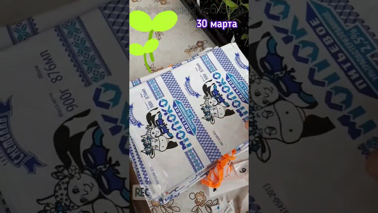 Перевалка рассады БАКЛАЖАНОВ  | Сделайте это вовремя! 30 марта   #семена #баклажаны #рассада смотреть онлайн