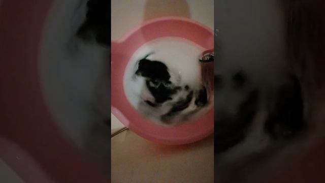 Стиральная машина смотреть онлайн