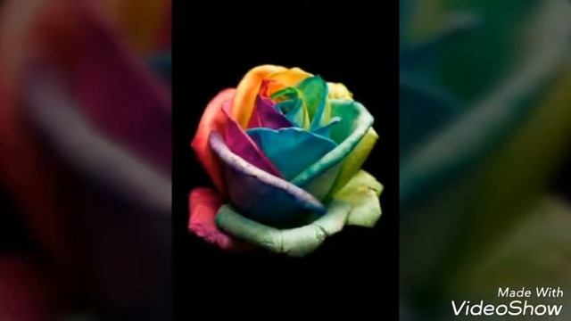 #Красивые обои на телефон~ смотреть онлайн