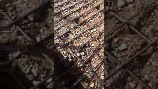 Шахматный парк в Чите смотреть онлайн