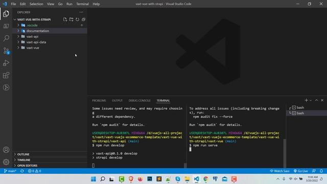 Vaxt eCommerce - Vuejs with Strapi Local Installation смотреть онлайн