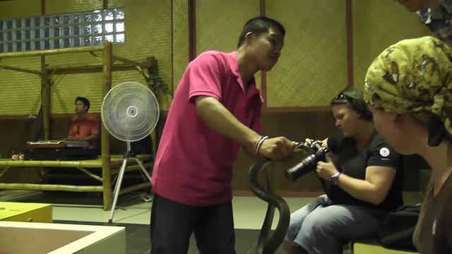 шоу с кобрами