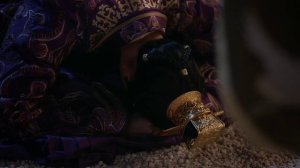 Племена и империи: шторм пророчества 1 сезон 59 серия