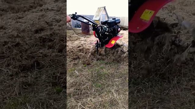 мотоблок Ока вспашка смотреть онлайн