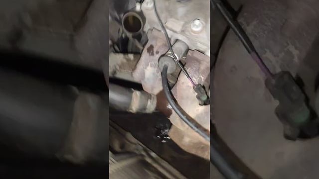 Замена термостата Ланос 1.5 без снятия ГРМ смотреть онлайн