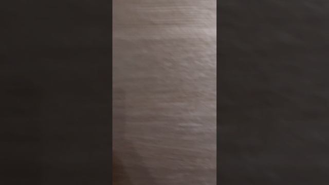 Аренда однокомнатной квартиры в Симферополе смотреть онлайн