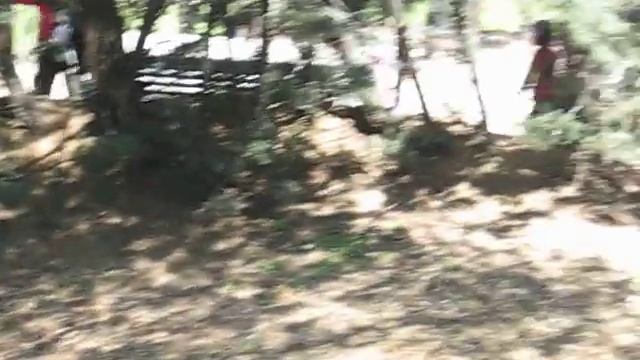 Plantada d'arbres Arenys de Mar смотреть онлайн