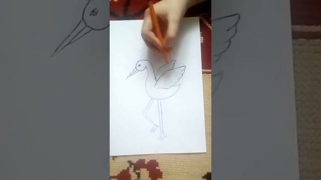 Как нарисовать аиста? смотреть онлайн