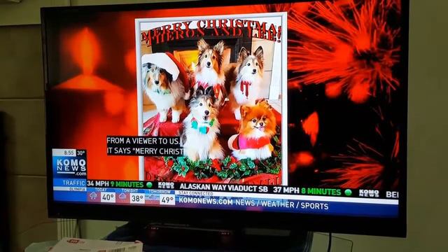 KOMO 12/18/16 Christmas dogs смотреть онлайн
