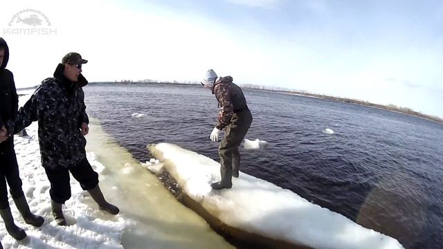 Открытие сезона. Бетьки. Фидер. Kamfish смотреть онлайн