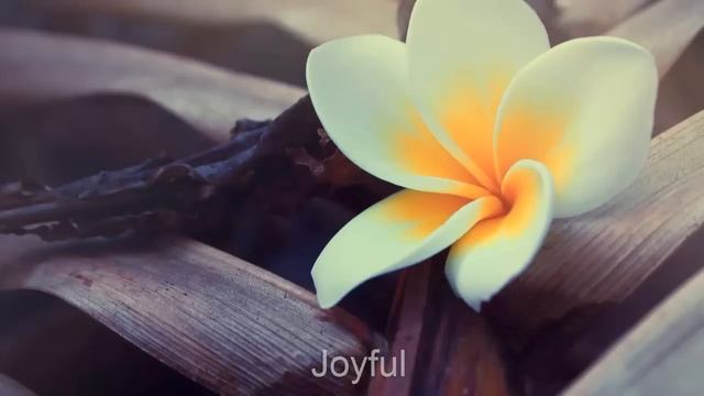 Sunny Photoshop Actions Download - GFxGoodies смотреть онлайн